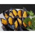 Moule bleue demi-coquille